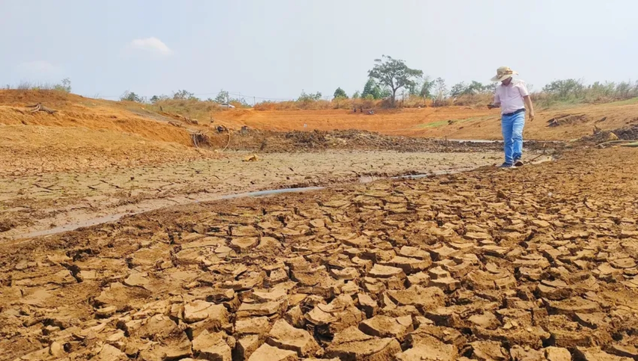 ảnh hưởng khí hậu